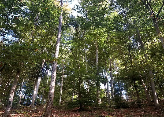 Weser Uplands Retreat Apartament Bad Pyrmont